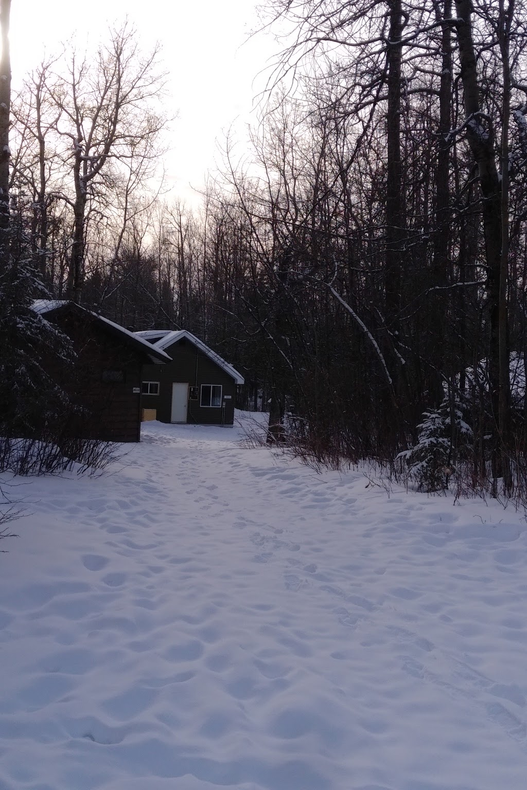 Tangle Trees Girl Guides Camp | 92 Silver Beach Rd, Westerose, AB T0C 2V0, Canada | Phone: (780) 451-2263