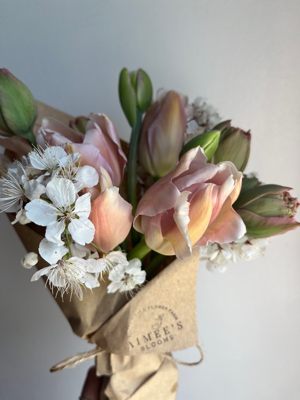 Aimees Blooms | 3583 Ch. Old Montréal Rd, Cumberland, ON K4C 1C8, Canada | Phone: (613) 857-8985