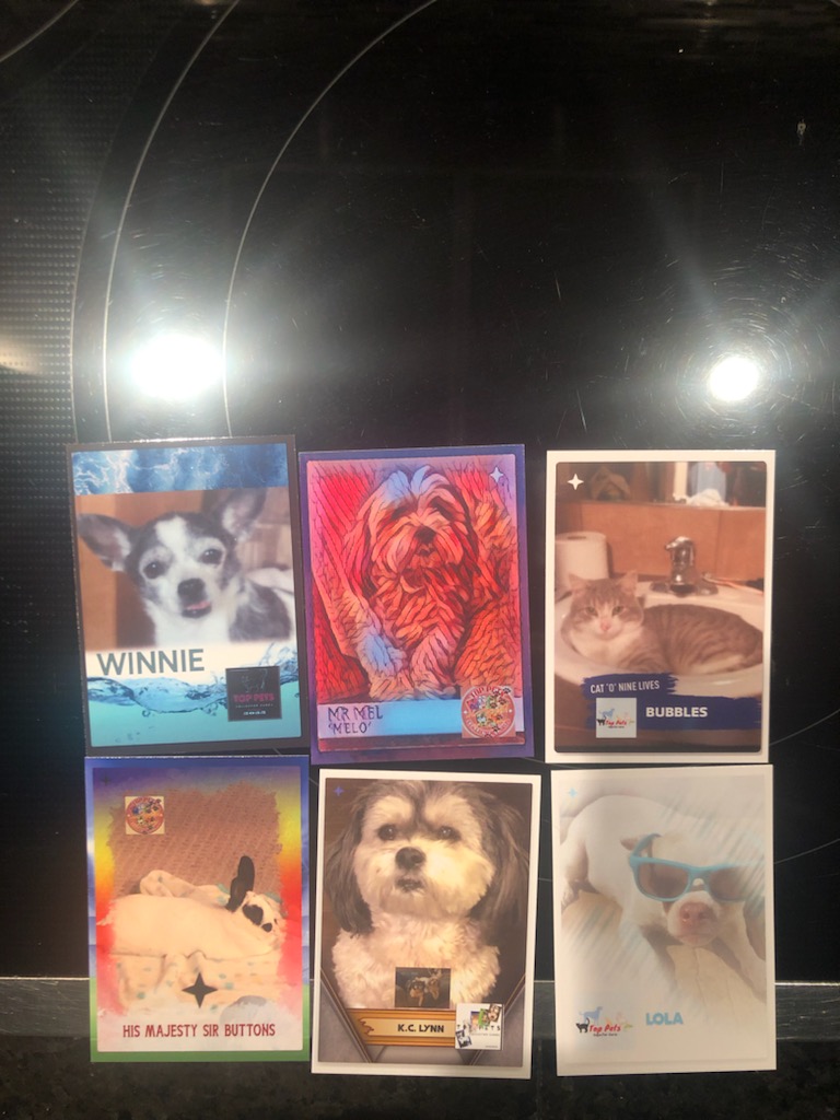 Top pets collector cards | 115 Prestwick Cir SE, Calgary, AB T2Z 0N1, Canada | Phone: (403) 815-4188