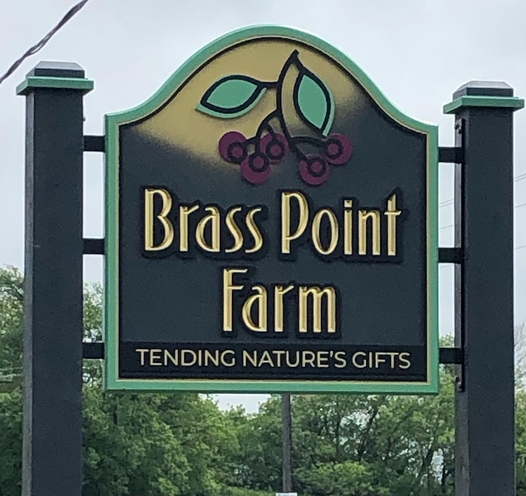 Brass Point Farm | 3534 Burnt Hills Rd, Seeleys Bay, ON K0H 2N0, Canada | Phone: (613) 217-9983