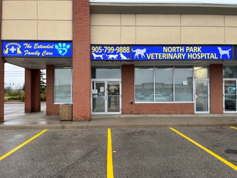 North Park Animal Hospital | 490 Chrysler Dr Unit 52, Brampton, ON L6S 0C1, Canada | Phone: (905) 799-9888