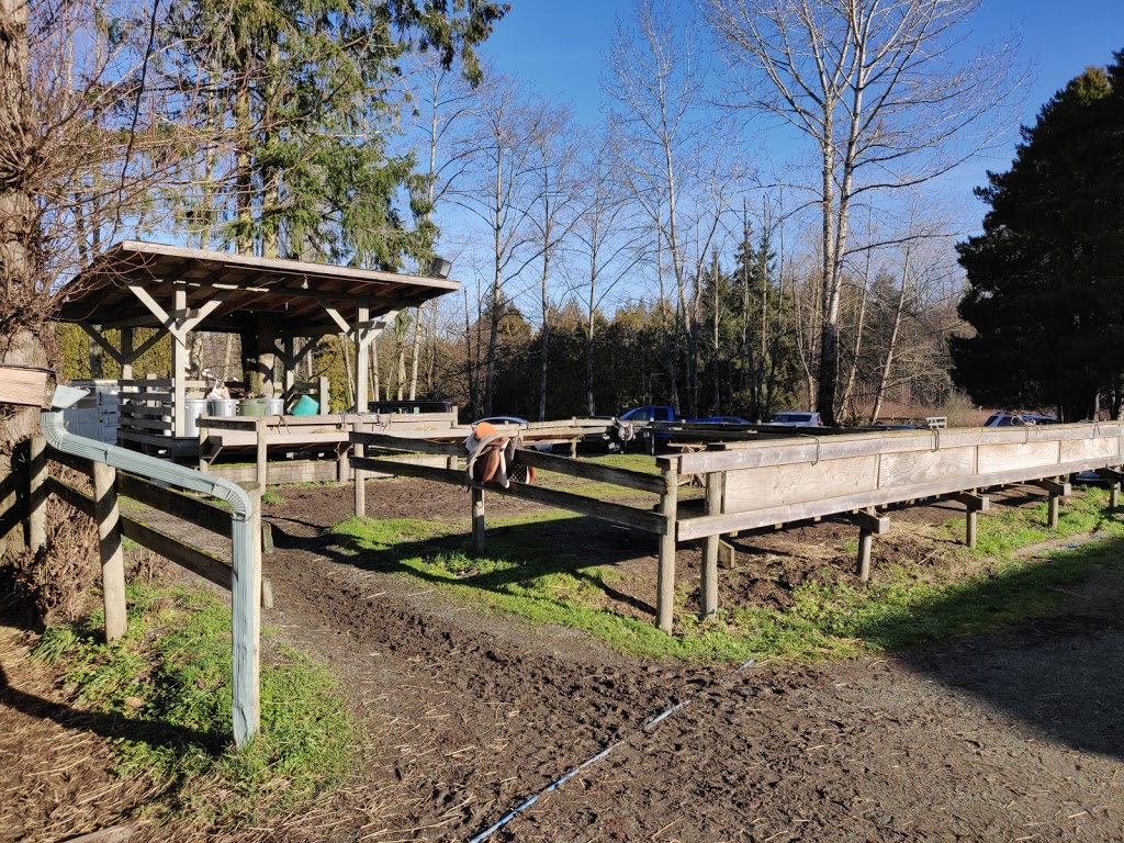 Langley 204 Horseback Riding | 543 204 St, Langley City, BC V2Z 1V5, Canada | Phone: (604) 533-7978