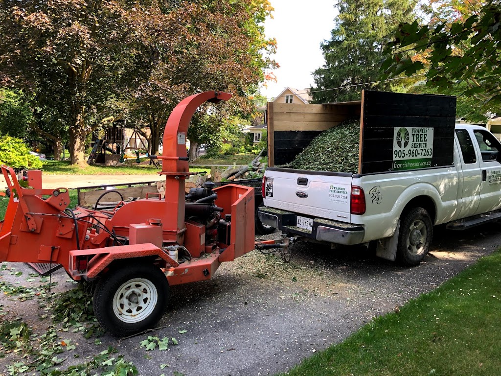 Francis Property and Tree Care | 2780 ON-35, Lindsay, ON K9V 4R4, Canada | Phone: (705) 241-9905