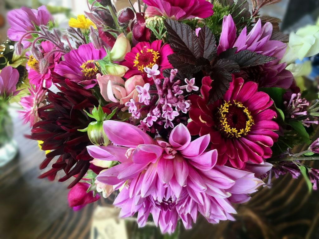 Local Dirt Bouquets | 61507 RR25, Westlock County, AB T0G 1R0, Canada | Phone: (780) 674-1527