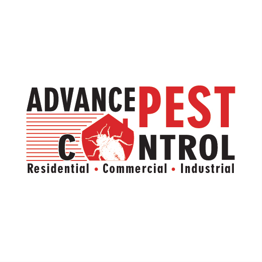 Pest Control Burnaby | 5389 Gilpin St, Burnaby, BC V5G 2H8, Canada | Phone: (604) 786-4161