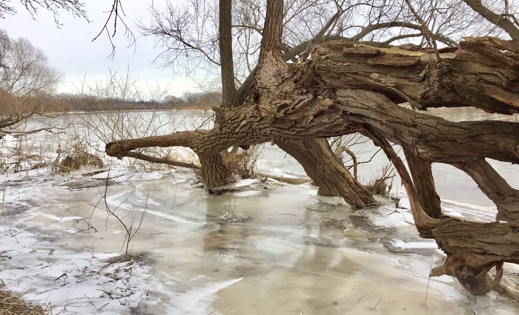 Seneca Park & Rotary Riverside Trail | 27 McClung Rd, Caledonia, ON N3W 1V3, Canada