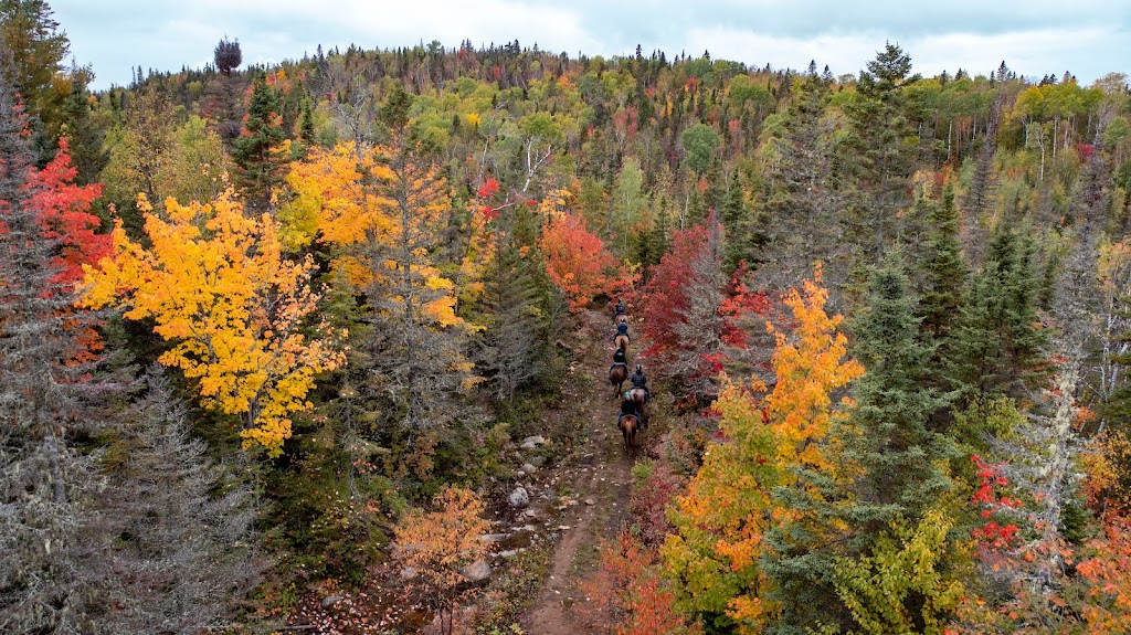 Ranch Le Soleil Le Vent | 243 route 172 Nord, Sacré-Coeur, QC G0T 1Y0, Canada | Phone: (418) 236-4853