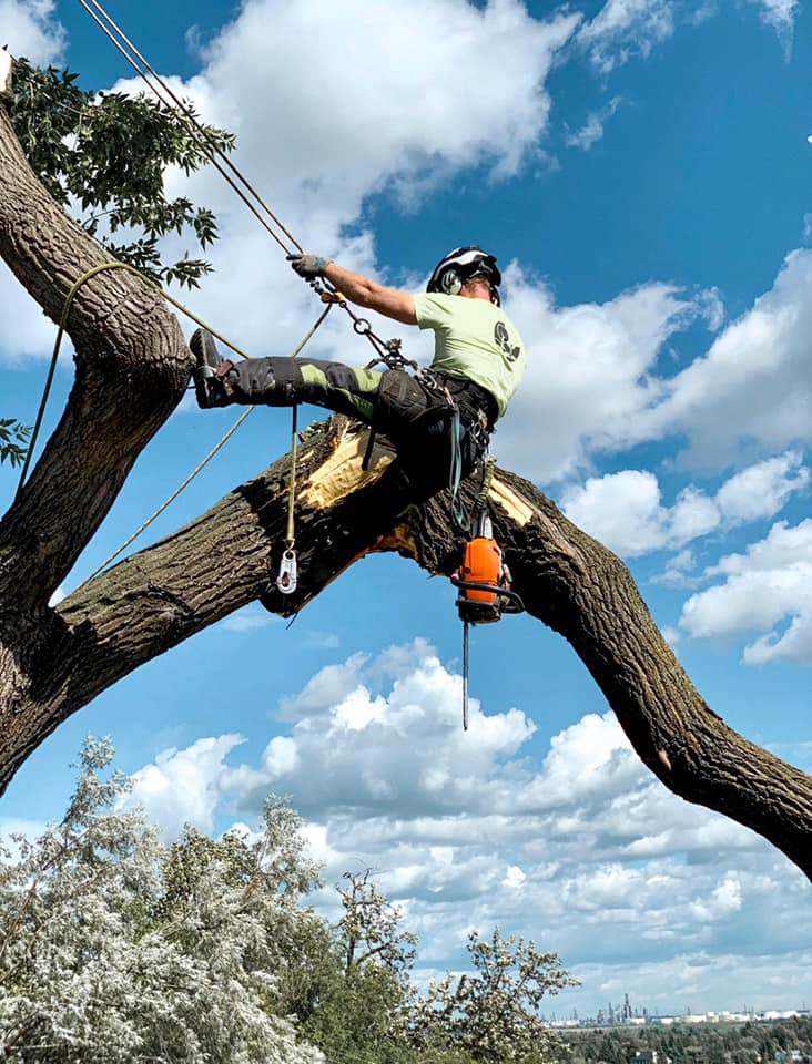 Neighbours Tree Company Ltd. | 22216 S Cooking Lake Rd, Sherwood Park, AB T8C 1H2, Canada | Phone: (780) 919-2302