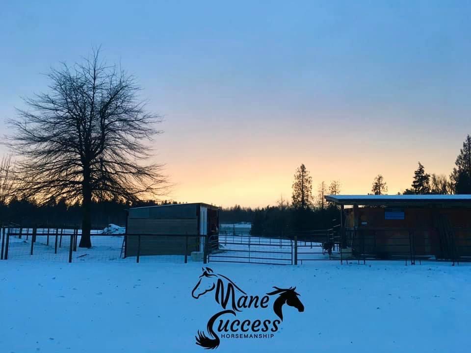 Mane Success Horsemanship | 4581 Bradner Rd, Abbotsford, BC V4X 1S9, Canada | Phone: (604) 226-6263