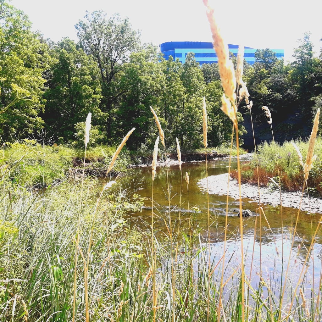 Etobicoke Creek Trail (Eglinton Entrance) | Unnamed Road, Etobicoke, ON M9C 5A5, Canada