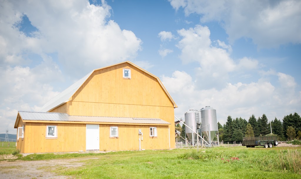 La Ferme Québec-Oies | 484 Av. Royale, Saint-Tite-des-Caps, QC G0A 4J0, Canada | Phone: (418) 808-2426