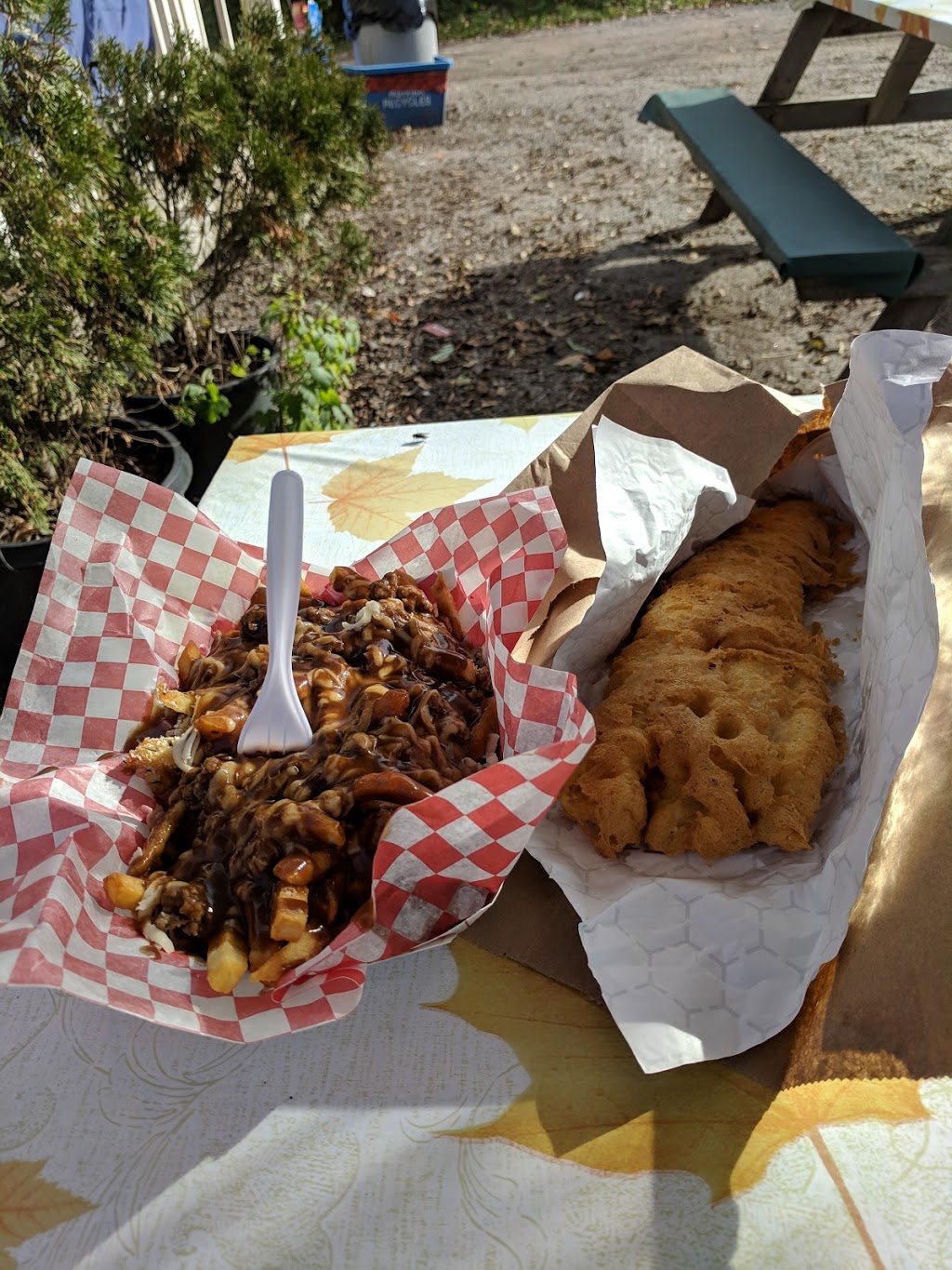 Fresh cut fries | 8199 ON-93, Tiny, ON L0K 2E1, Canada