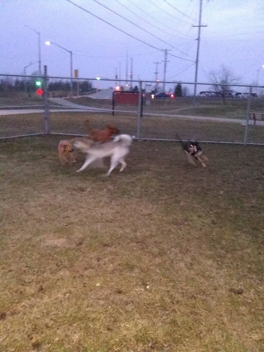 Welland Dog Park | 16 Colborne Rd, Welland, ON L3B 3P2, Canada