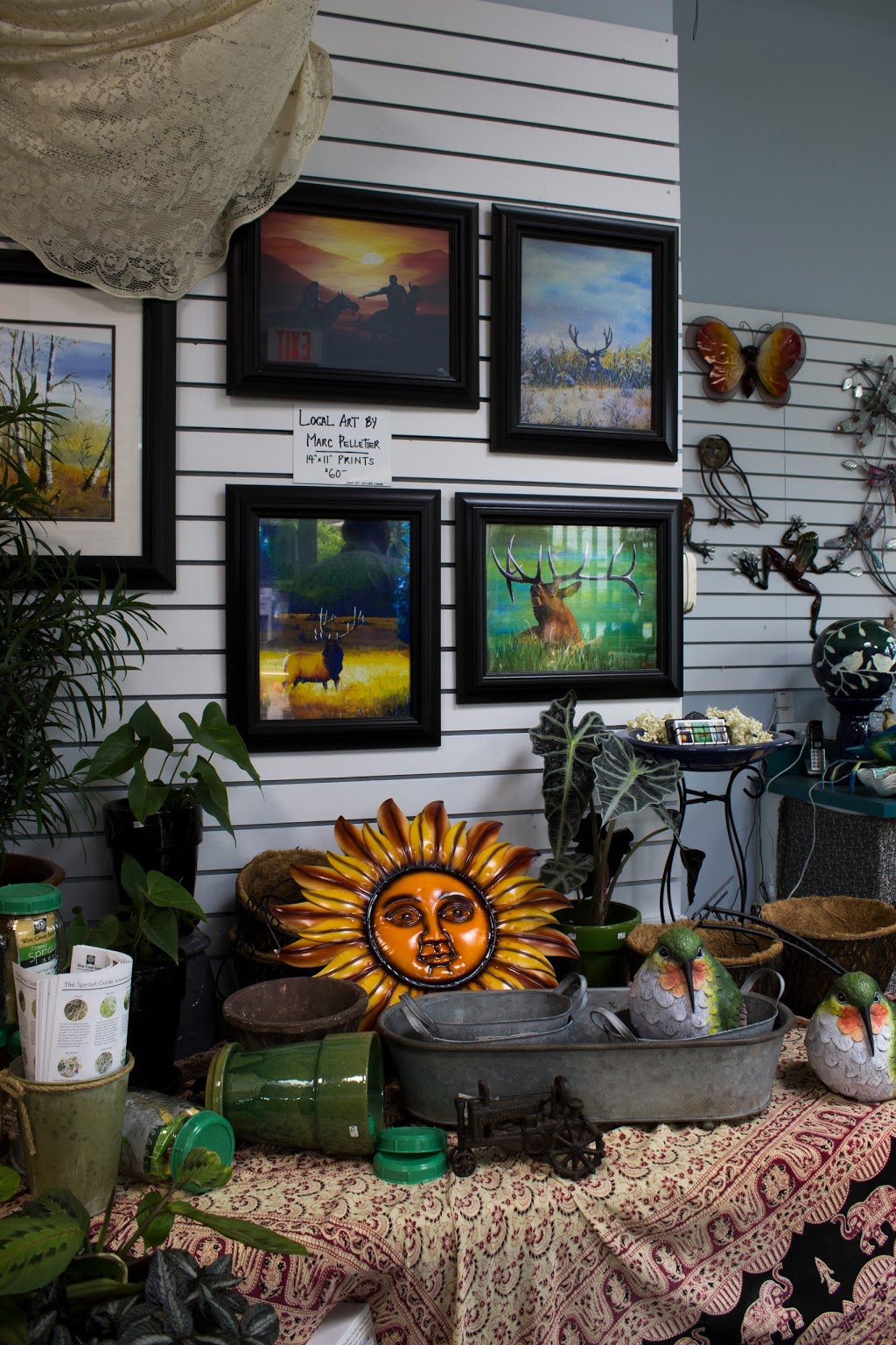 Little Tree Garden Center | 2517 Bowen Rd, Nanaimo, BC V9T 3L2, Canada | Phone: (250) 585-0244