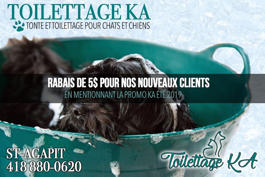 Toilettage KA | 1094 Rue Centrale, Saint-Agapit, QC G0S 1Z0, Canada | Phone: (418) 880-0620