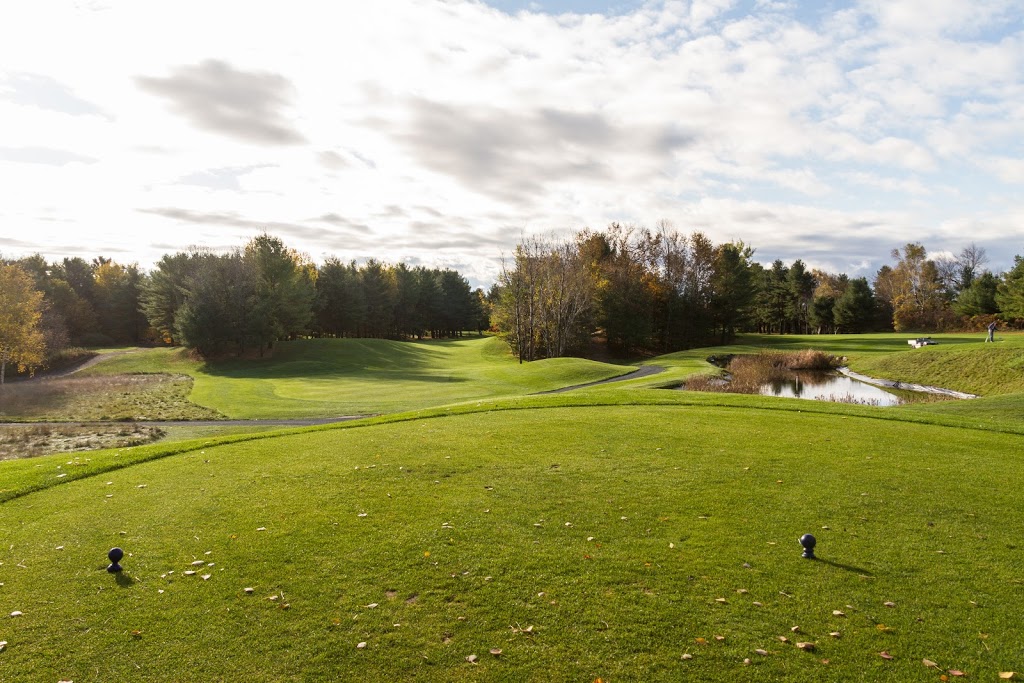 Shelter Valley Pines Golf Club | 1806 Shelter Valley Rd, Grafton, ON K0K 2G0, Canada | Phone: (905) 349-3427