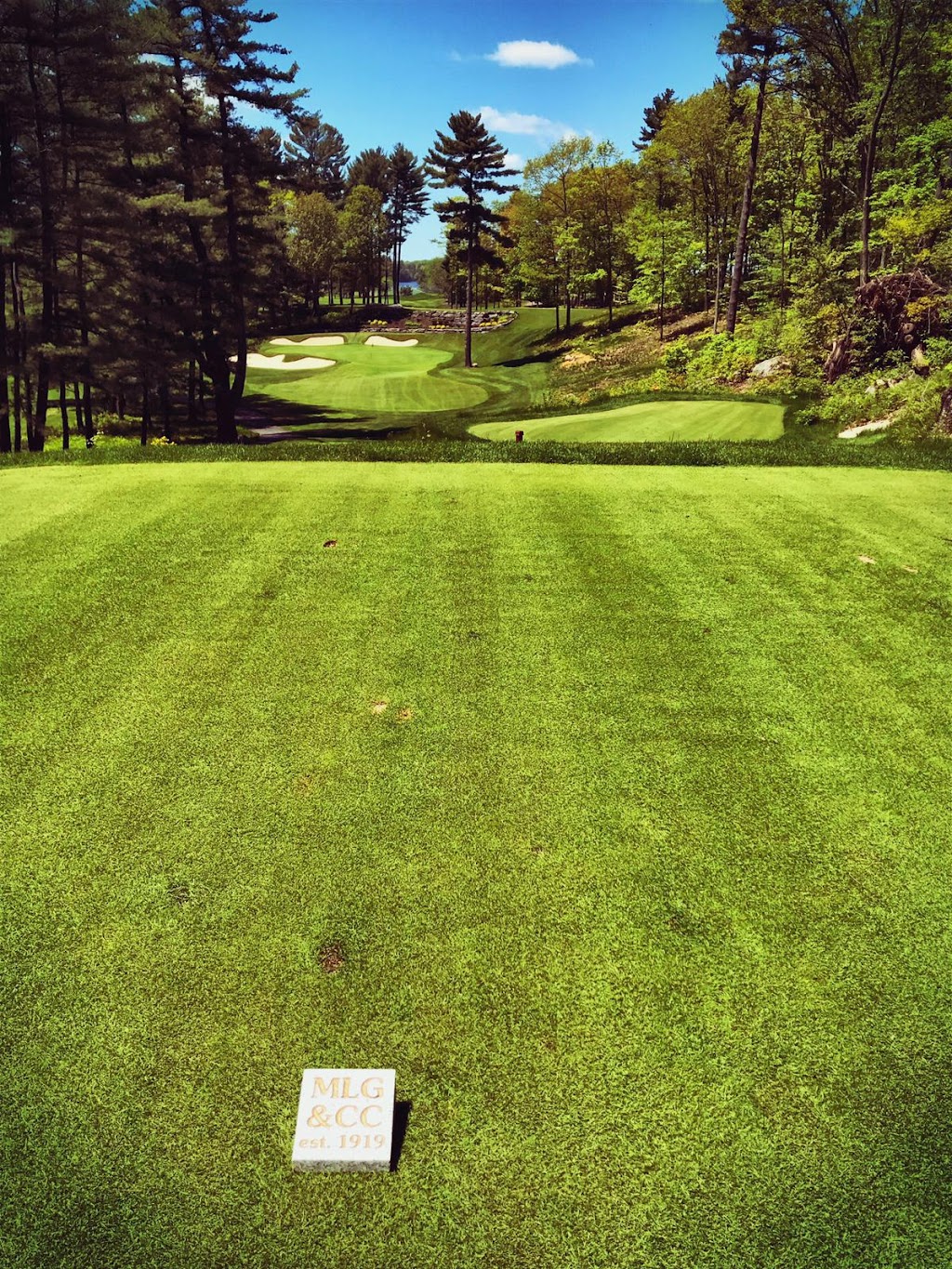 Muskoka Lakes Golf and Country Club | 1072 Shamrock Rd, Port Carling, ON P0B 1J0, Canada | Phone: (705) 765-3166