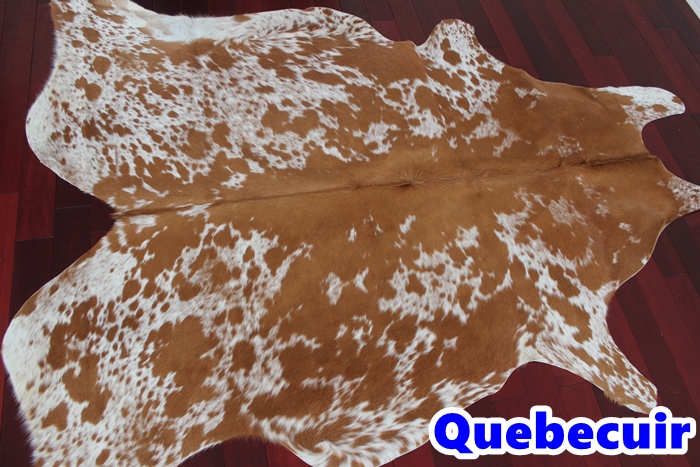 Quebecuir | 515 Rue Lavergne, Laval, QC H7X 3L7, Canada | Phone: (438) 878-9678