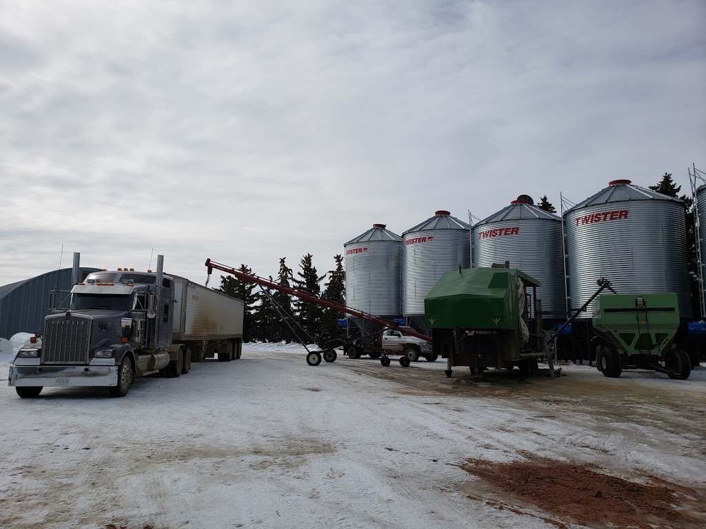 McCracken Grain Solutions Ltd. | Twp. Rd. 094 & Grid 623, Ogema, SK S0C 1Y0, Canada | Phone: (306) 459-7995