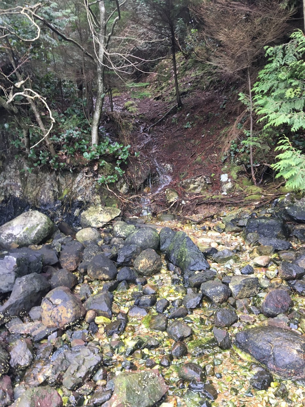 Jug Island Beach | Belcarra, BC, Canada