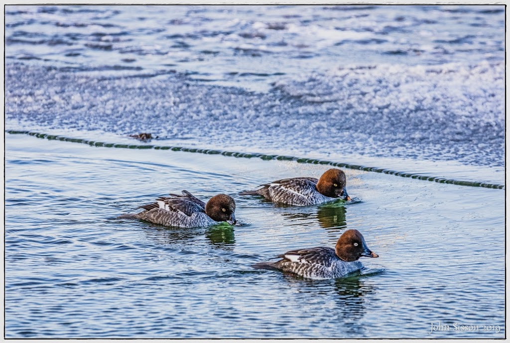 Liverpool Road Pier | 510 Liverpool Rd, Pickering, ON L1W 1R1, Canada