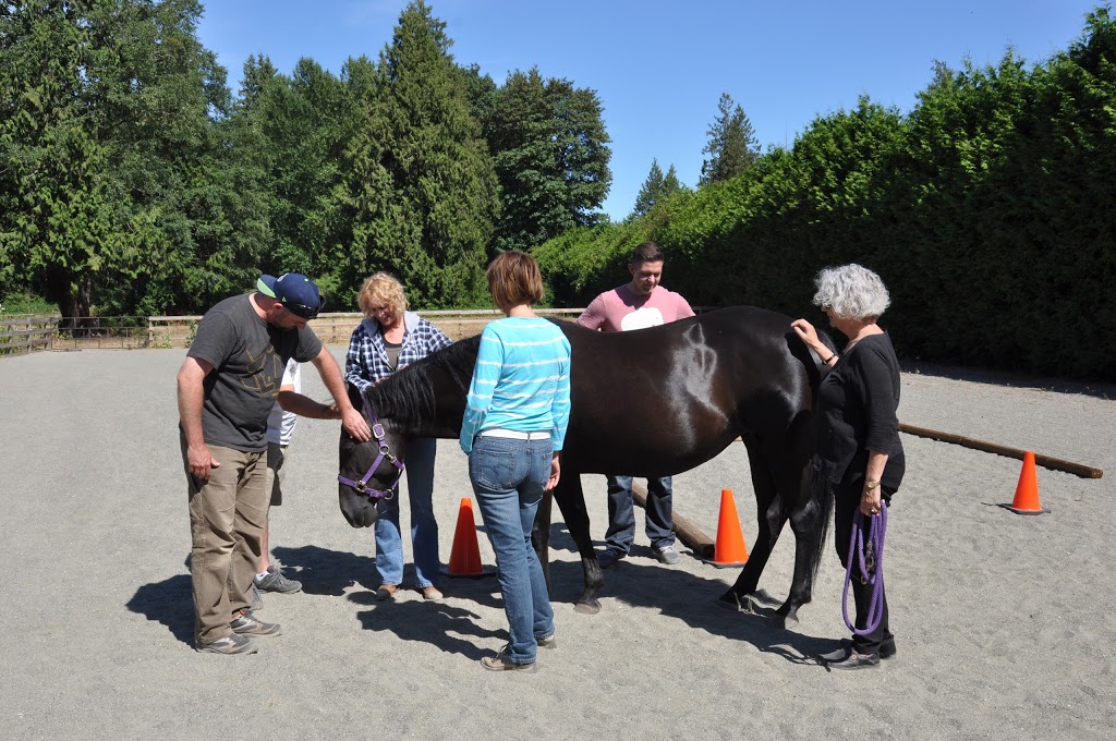 Equine Coach | 23285 Billy Brown Rd #208, Fort Langley, BC V1M 0C8, Canada | Phone: (604) 873-4874