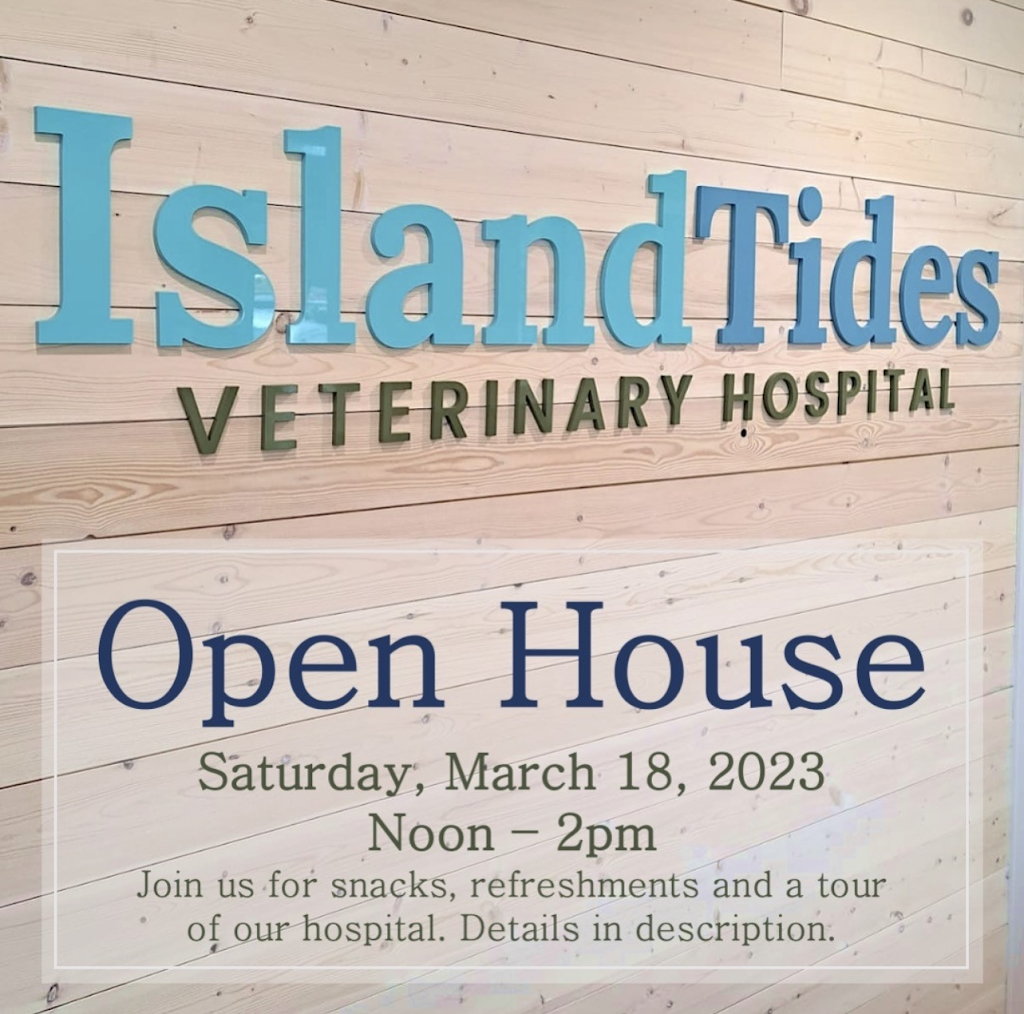 Island Tides Veterinary Hospital | 2435 Mansfield Dr #101, Courtenay, BC V9N 2M2, Canada | Phone: (778) 647-4884