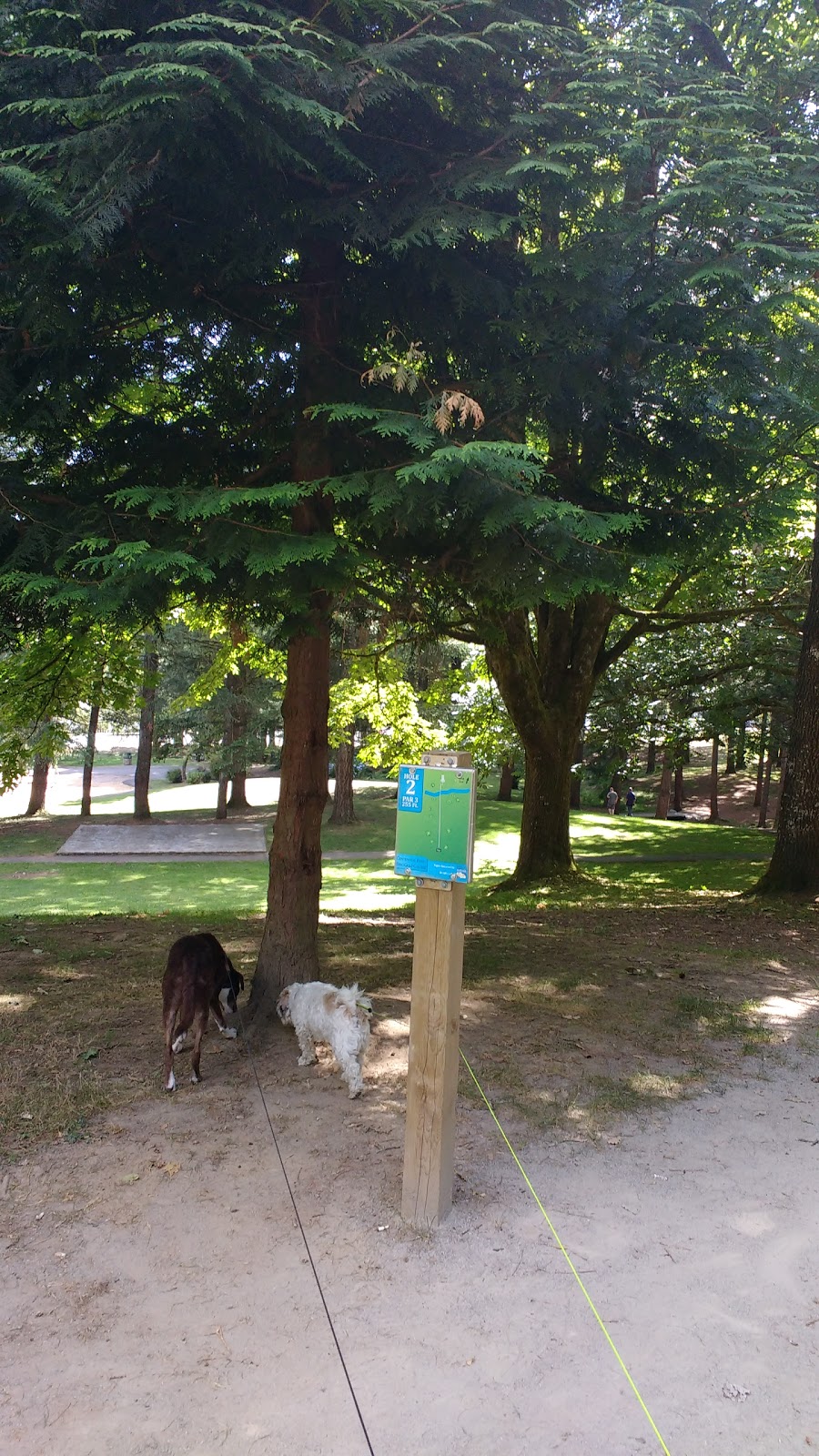 Centennial Park Disc Golf Course | Taulbut St, Mission, BC V2V, Canada | Phone: (604) 557-3447