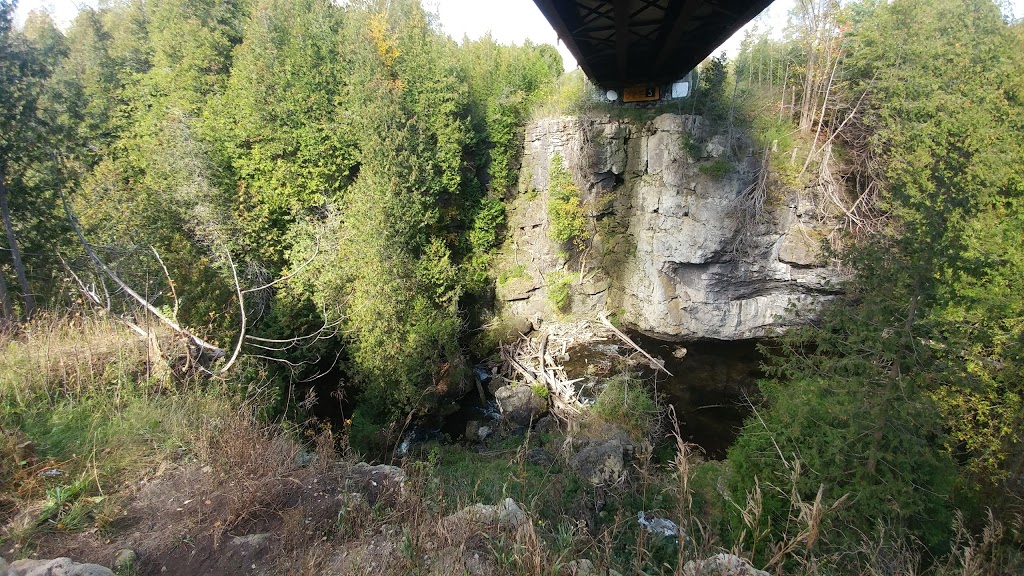 Feversham Gorge - Madeleine Graydon Memorial Conservation Area | 106 River Rd, Feversham, ON N0C 1C0, Canada | Phone: (519) 376-3076