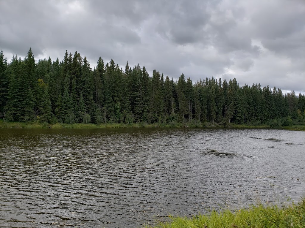 Mound Red Park | Wetaskiwin County No. 10, AB T0C 2V0, Canada