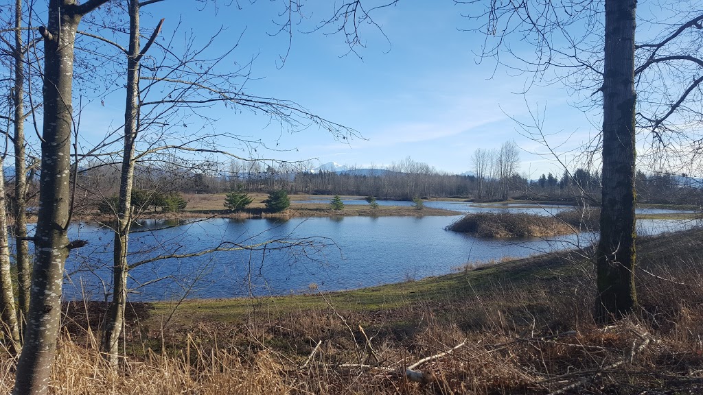 Jackman Wetlands, Aldergrove, BC | Langley Twp, BC V4W, Canada