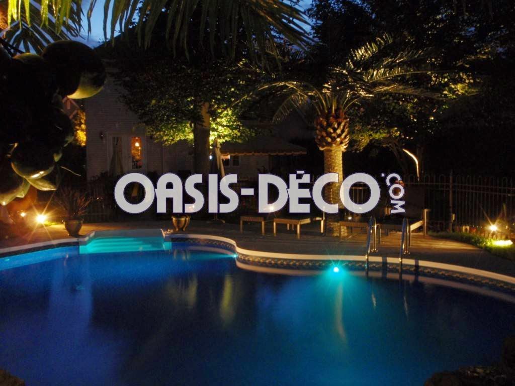 Oasis-Deco = Chute pour piscine / pool waterfall / Palmier palm  | 742 Boulevard Industriel #104, Blainville, QC J7C 3V4, Canada | Phone: (514) 248-0928