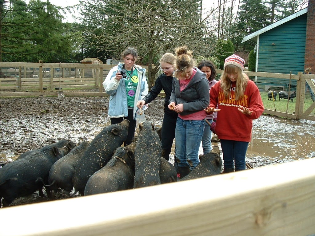 Hearts On Noses A Mini Pig Sanctuary | 30471 Dewdney Trunk Rd, Mission, BC V4S 1C3, Canada | Phone: (604) 462-0958