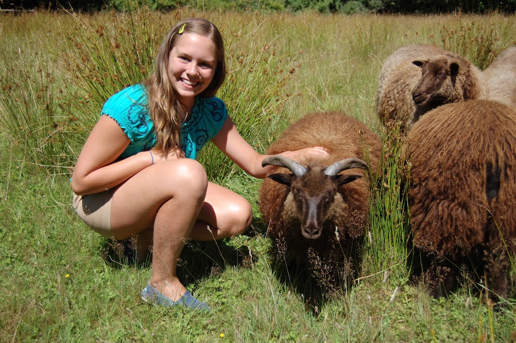 Old Road Farm | 3393 Gibbins Rd, Duncan, BC V9L 6E6, Canada | Phone: (250) 710-2284