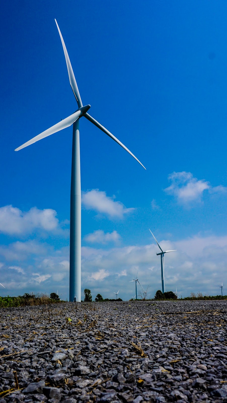 Wolfe Island Wind farm | Wind farm 86 towers on, Wolfe Island, ON K0H 2Y0, Canada