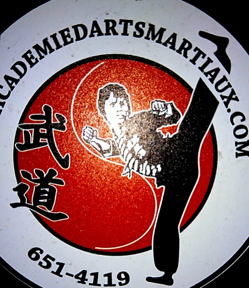 Academy Martial Arts De Québec | 3344 Ch Ste-Foy, Québec, QC G1X 1S5, Canada | Phone: (418) 651-4119