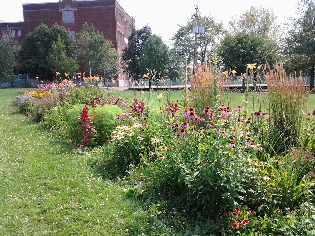 Bibliothèque de Rosemont | 3131 Bd Rosemont, Montréal, QC H1Y 1M4, Canada | Phone: (514) 872-4701