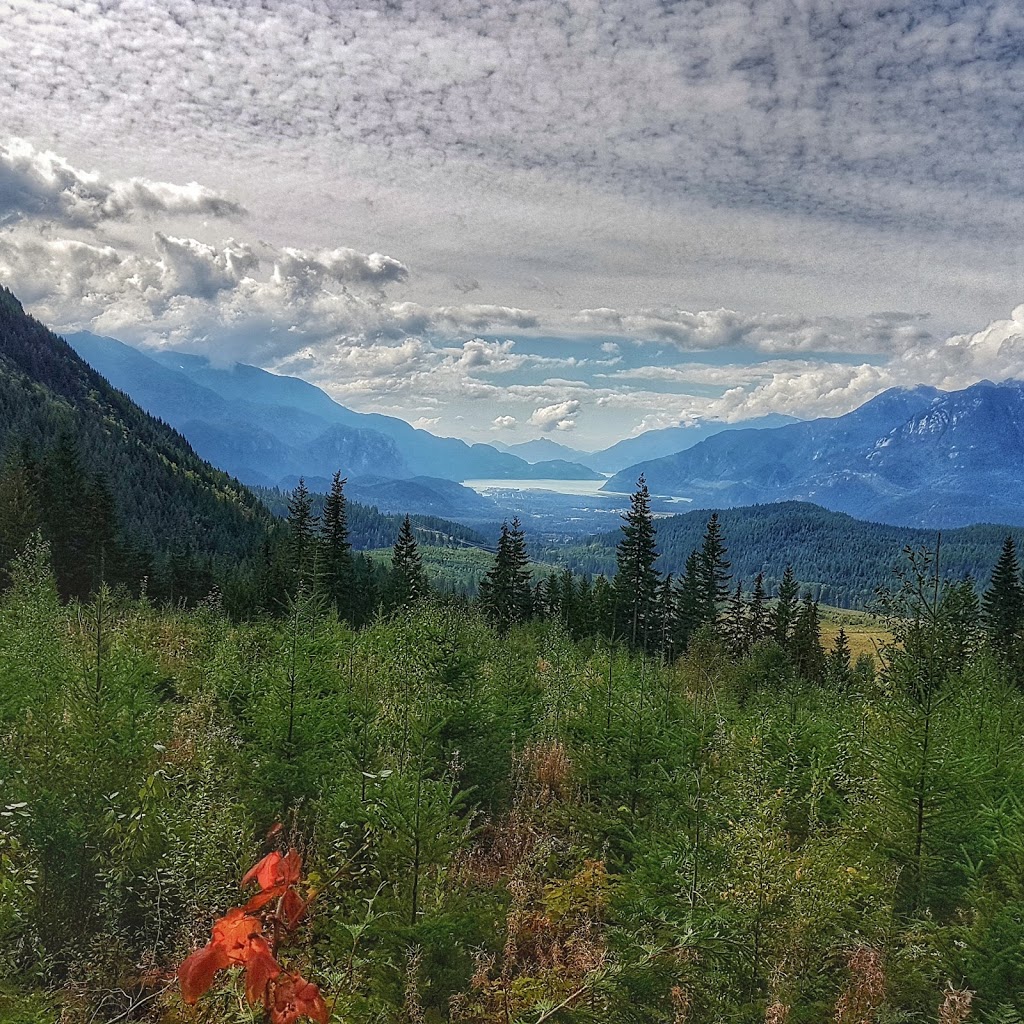 RideHub - Squamish’s Mountain Bike Adventure & Bike Rental Compa | 40524 Highlands Way N, Garibaldi Highlands, BC V0N 1T0, Canada | Phone: (604) 849-2712