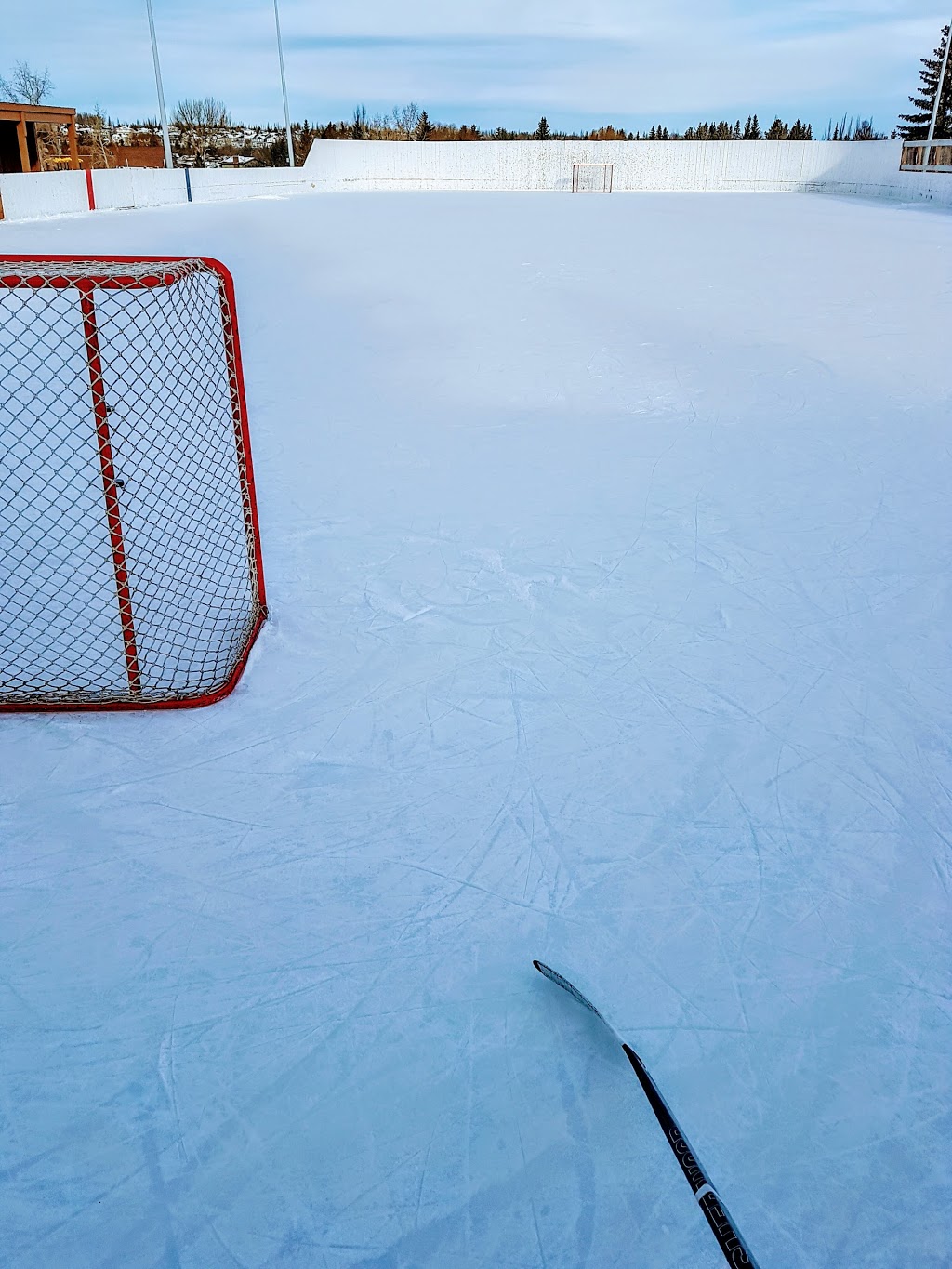 Willoughby Park Rink | 6 Willoughby Dr, St. Albert, AB T8N 3R3, Canada | Phone: (780) 459-1557