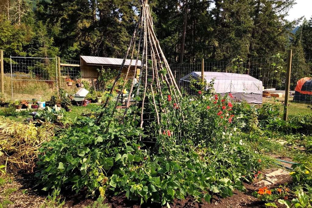 Oliver Creek Farm | 8260 Youbou Rd, Lake Cowichan, BC V0R 2G0, Canada | Phone: (250) 718-8485