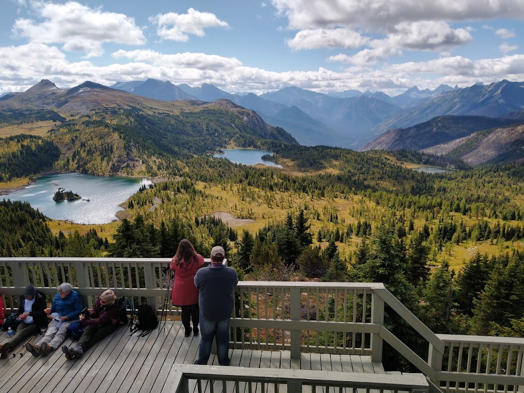 Banff Bear Bed And Breakfast | 108 Otter St, Banff, AB T1L 1B3, Canada | Phone: (403) 431-2997