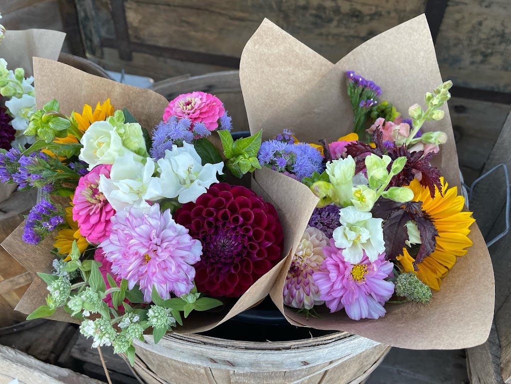 Meadowlark Flower Farm | 3059 Durham Regional Hwy 2, Clarington, ON L1C 3K5, Canada | Phone: (905) 431-6248