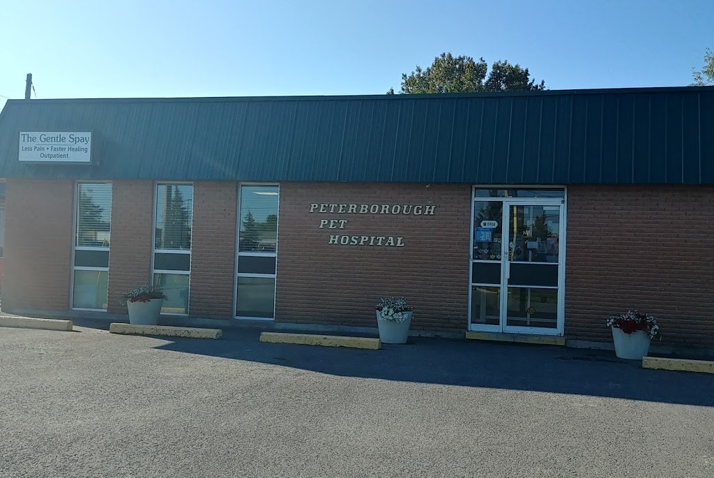 Peterborough Pet Hospital | 379 Lansdowne St E, Peterborough, ON K9L 2A3, Canada | Phone: (705) 742-8837