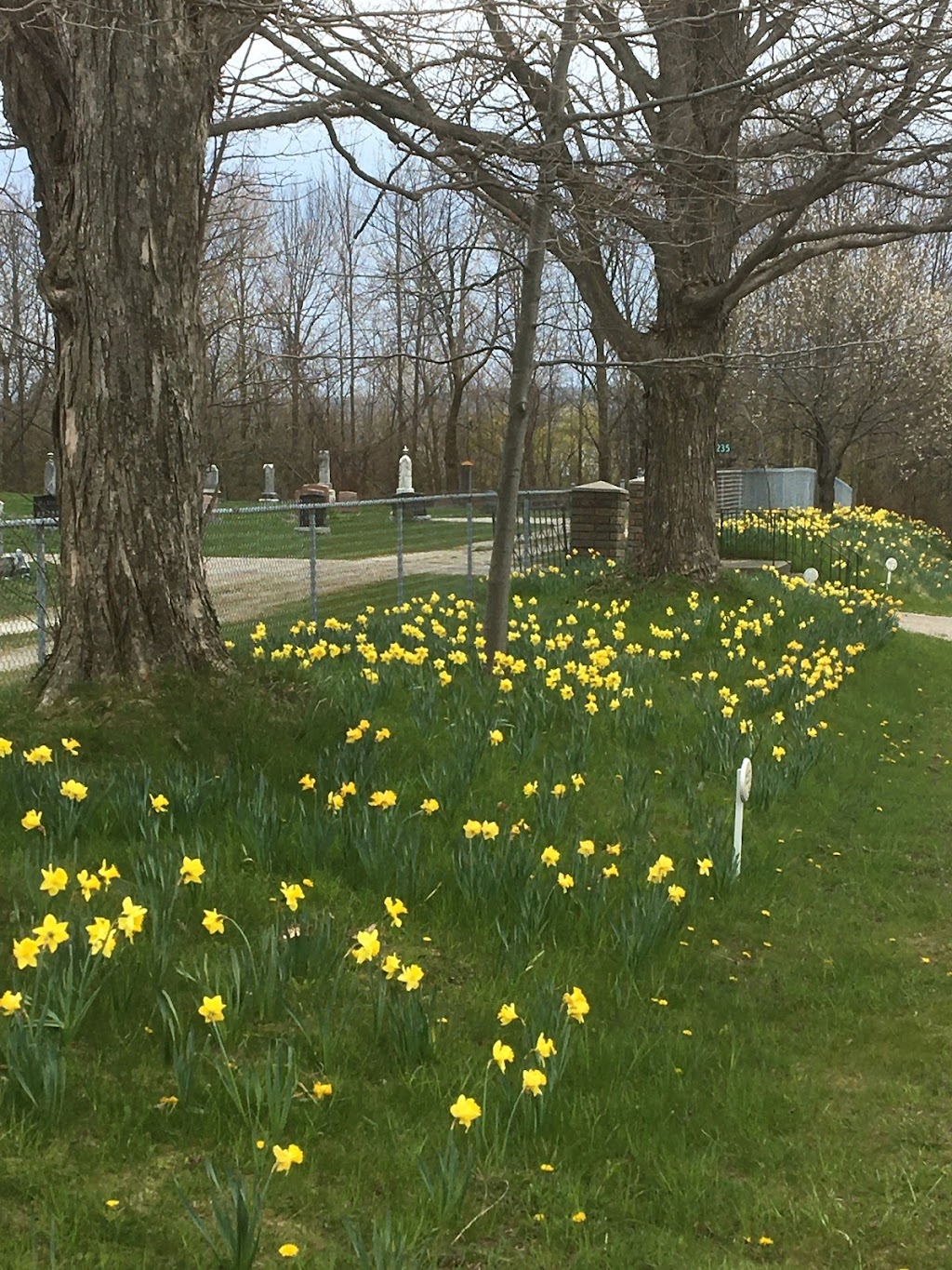 Mount Pleasant Cemetery | 178235, Grey County Rd 17A, Owen Sound, ON N4K 5N4, Canada | Phone: (519) 376-2729