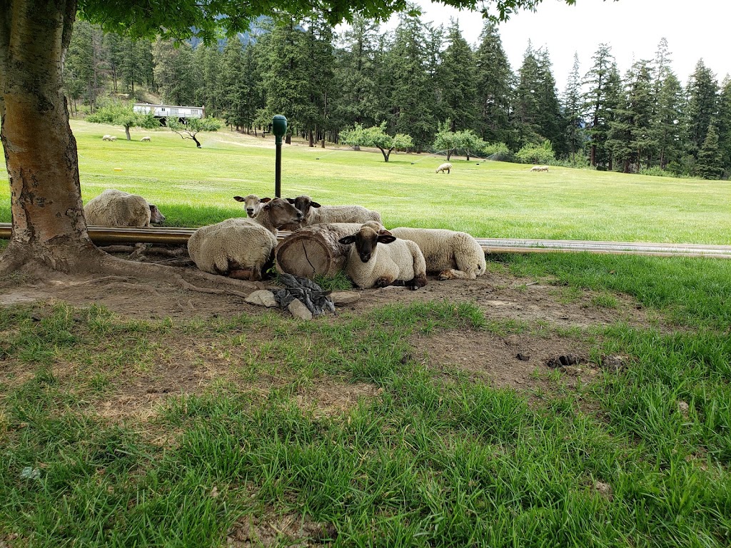 Sheep Pasture Golf Course | 5000 Texas Creek Rd, Lillooet, BC V0K 1V0, Canada | Phone: (250) 256-0550