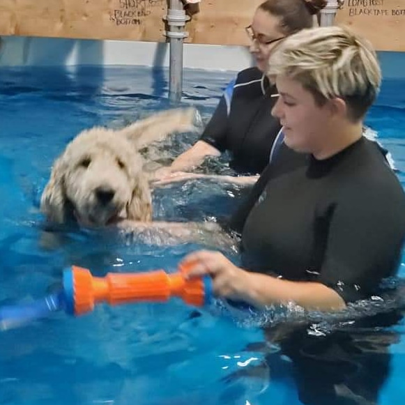 Canine Aquatherapy with Faith | 2836 Holt Rd, Bowmanville, ON L1C 3K4, Canada | Phone: (905) 391-9717