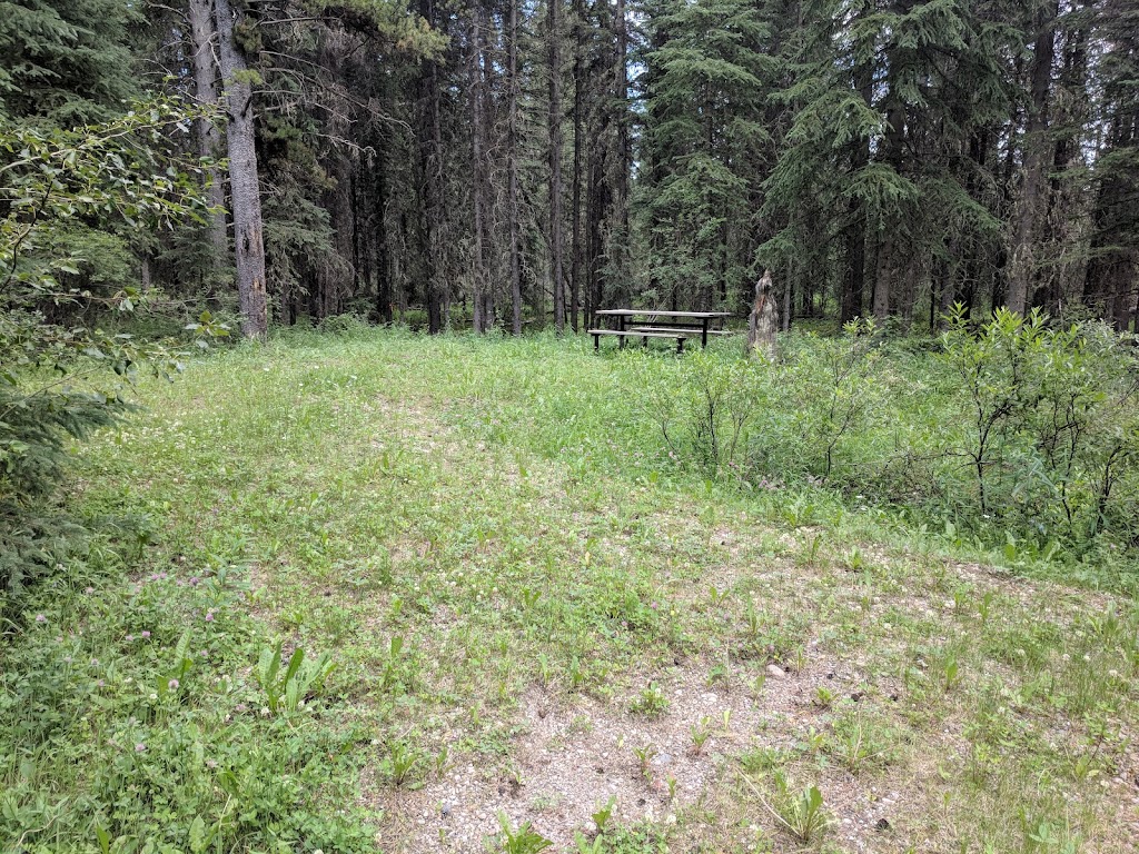 Pembina Forks Campground | 46006 Forestry Trunk Rd, Yellowhead County, AB T0E 1X0, Canada | Phone: (780) 865-2154