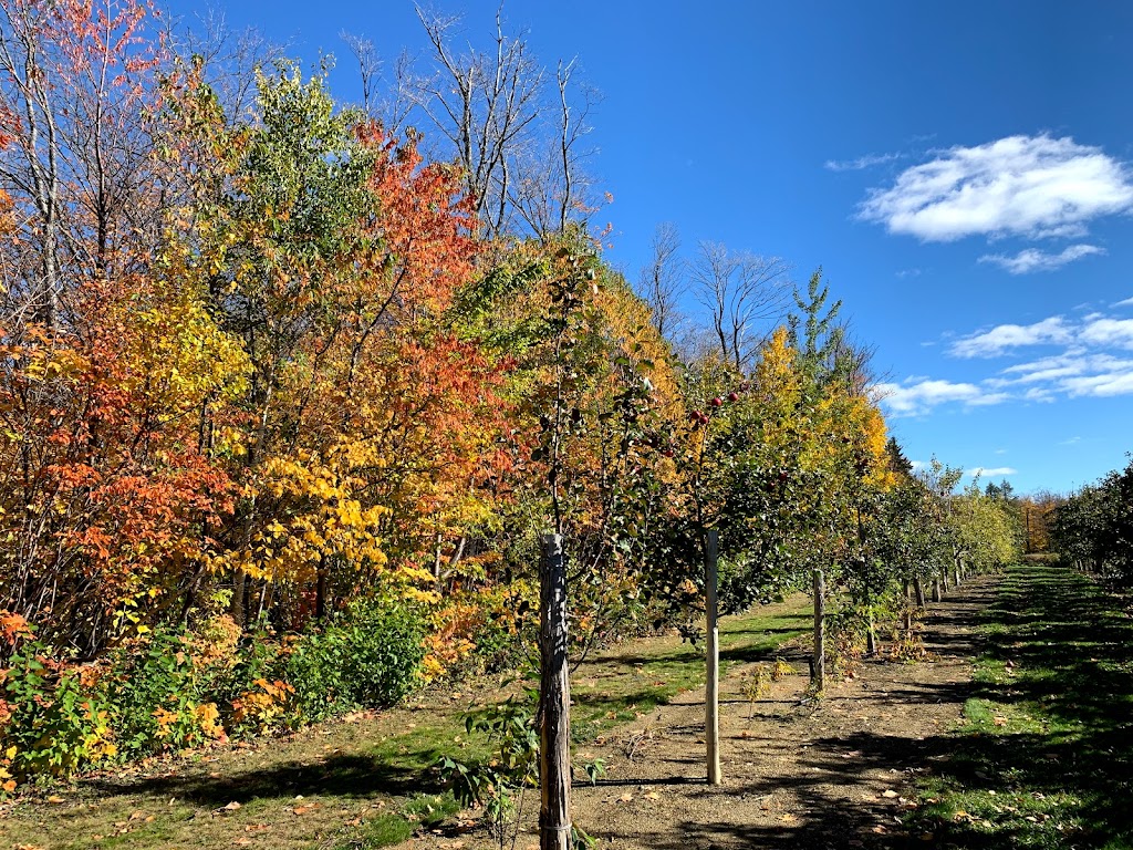 Domaine Orléans | 1067 Chem. Royal, Saint-Pierre, QC G0A 4E0, Canada | Phone: (418) 828-9071