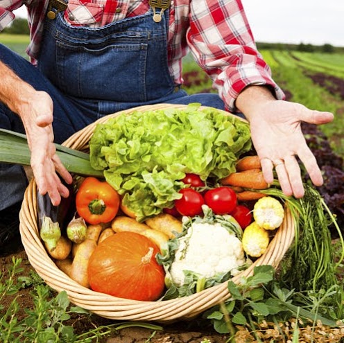 paniers de légumes 100% naturel | 4072 Chemin Royal, Saint-Jean-de-lÎle-dOrléans, QC G0A 3W0, Canada | Phone: (581) 991-2158