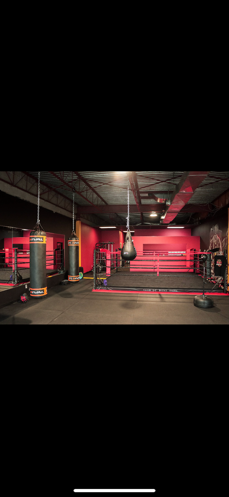 Club de Boxe Viking | 8920 Boul Langelier, Montréal, QC H1P 3C8, Canada | Phone: (514) 323-5911